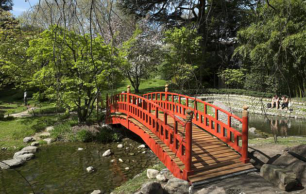 Passerelle japonaise en bois pour parc public
