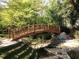 Pont japonais jardins Albert kahn - Boulogne (92)