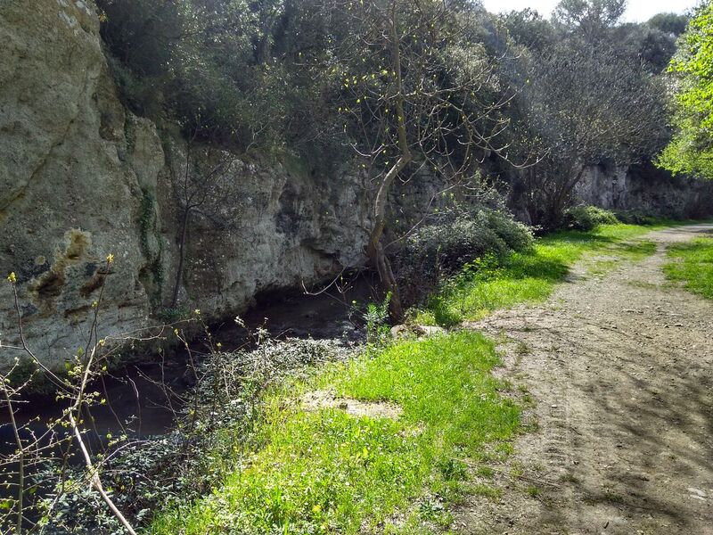 Projet aménagement extérieur bois SLE, GRANS